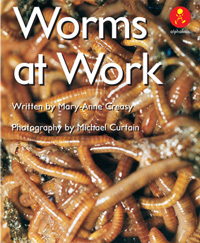 Worms at Work