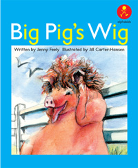 Big Pig's Wig